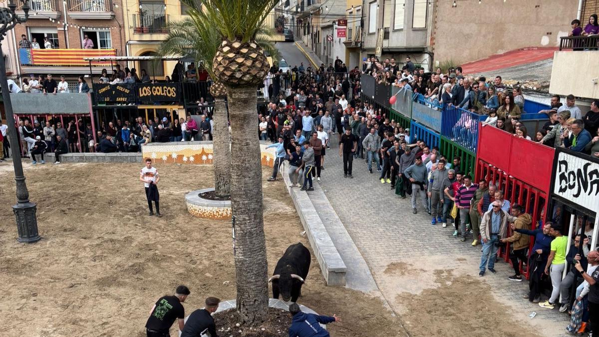 Festejos taurinos en La Llosa.