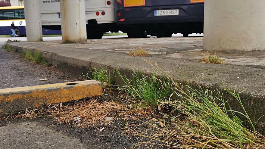 En las dársenas de autobuses crece la maleza. |   // S.Á.