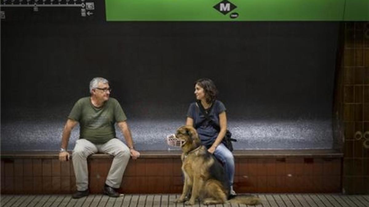 La nueva normativa permite el acceso de los canes al Metro.