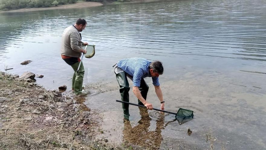 Un coto truchero a tope: el embalse de los Alfilorios cubre por cuarto año su cupo máximo de pescadores