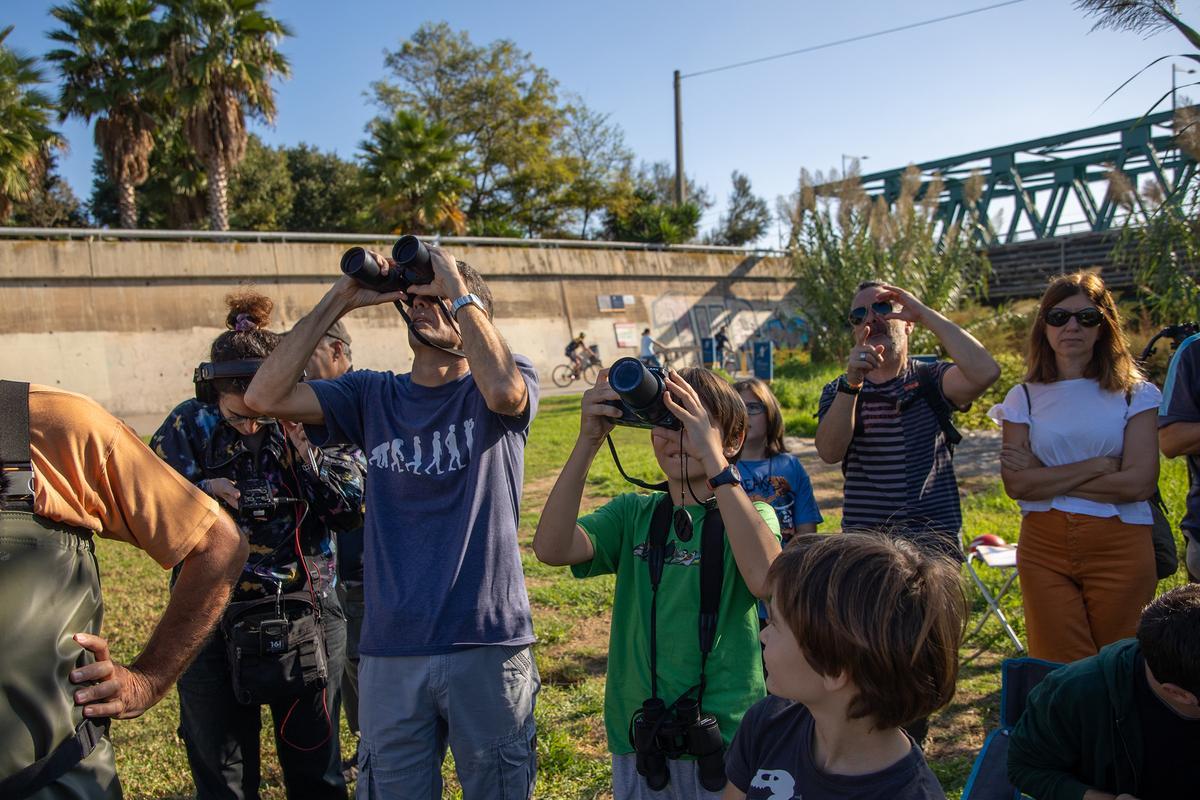 La fiesta de Va de Besòs, en el Parc del Litoral del Besòs