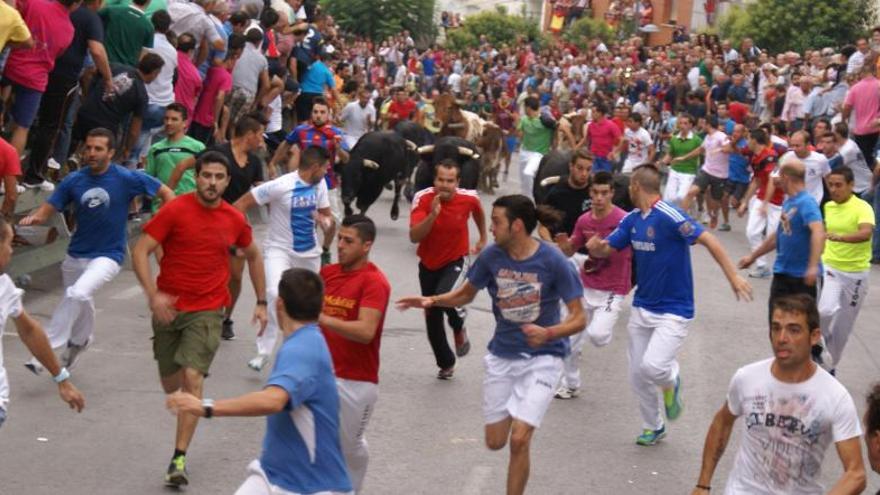 Los conocidos popularmente como los encierros taurinos del sur de España centrarán la atención durante estos días de fiesta en la localidad.