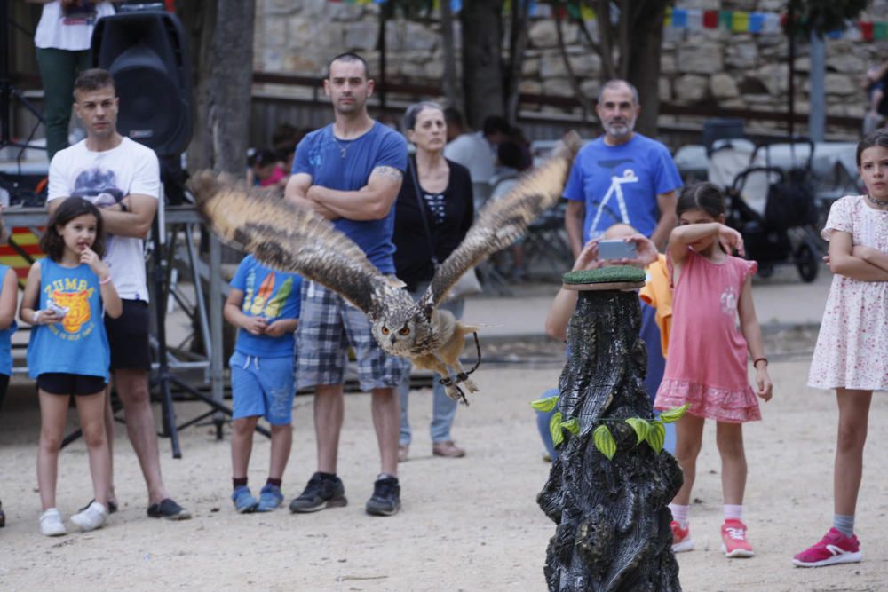 Exhibició d’aus rapinyaires per celebrar la festa de les Pedreres