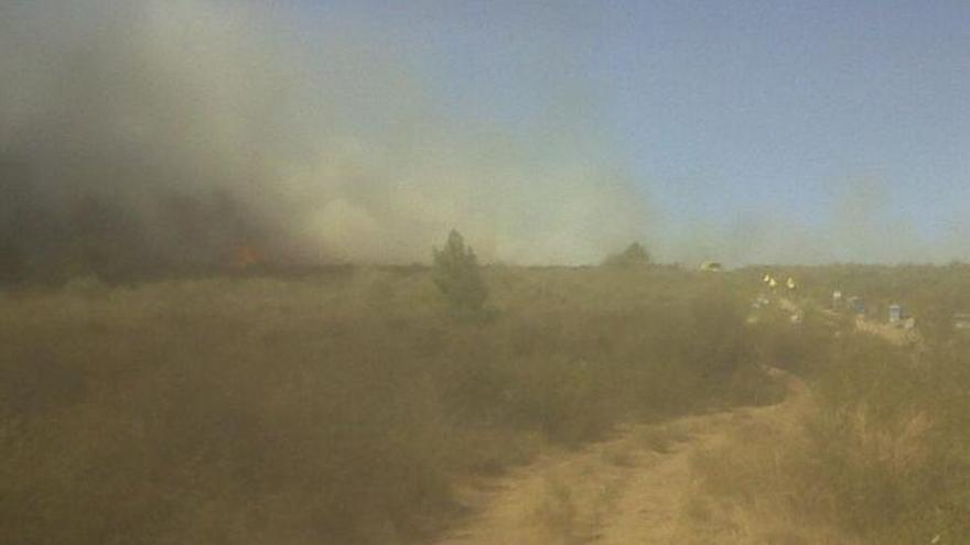 El fuego se acerca, en sus inicios, al un colmenar de Ferreruela de Tábara.