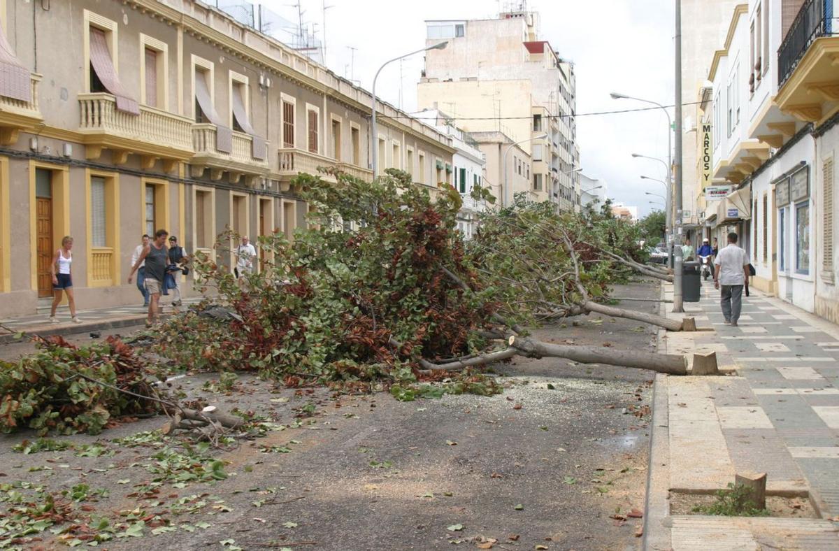 Tala de árboles en la reforma de la primera fase de la avenida de España, en 2003. | MOISÉS COPA