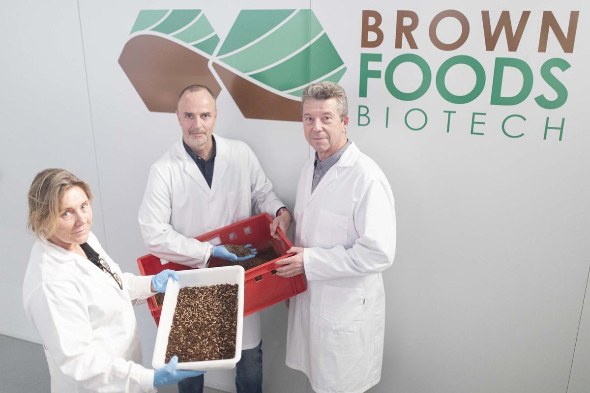 Brownfoods Biotech: La cria d’insectes, un negoci emergent