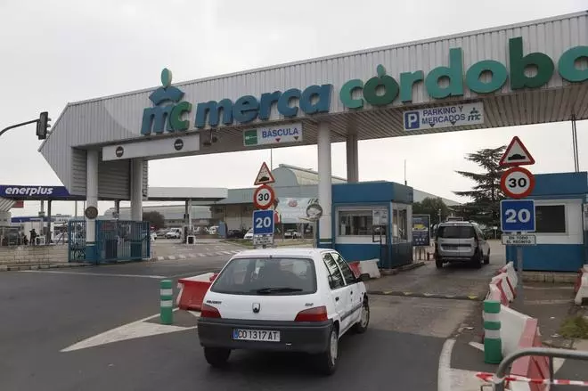 Dimite Jesús Reina, gerente de Mercacórdoba desde 2015