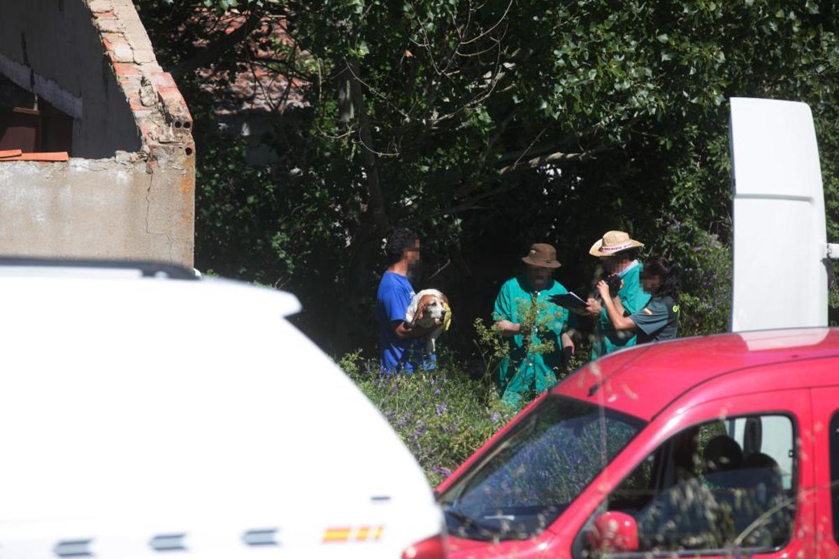 Rescatados perros Valdeperdices