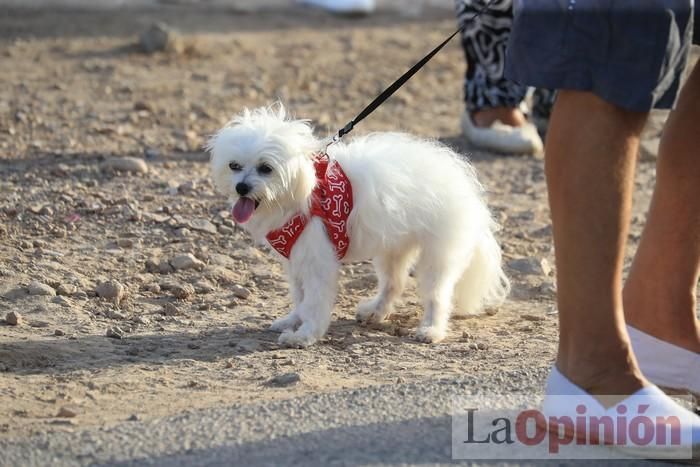 Protesta contra el estado del Mar Menor