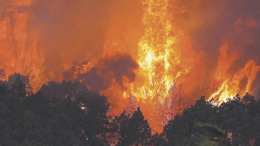 &quot;Vamos a ir a por ellos para que vayan a la cárcel&quot;: el aviso a los pirómanos ante el peligro por incendios en Canarias