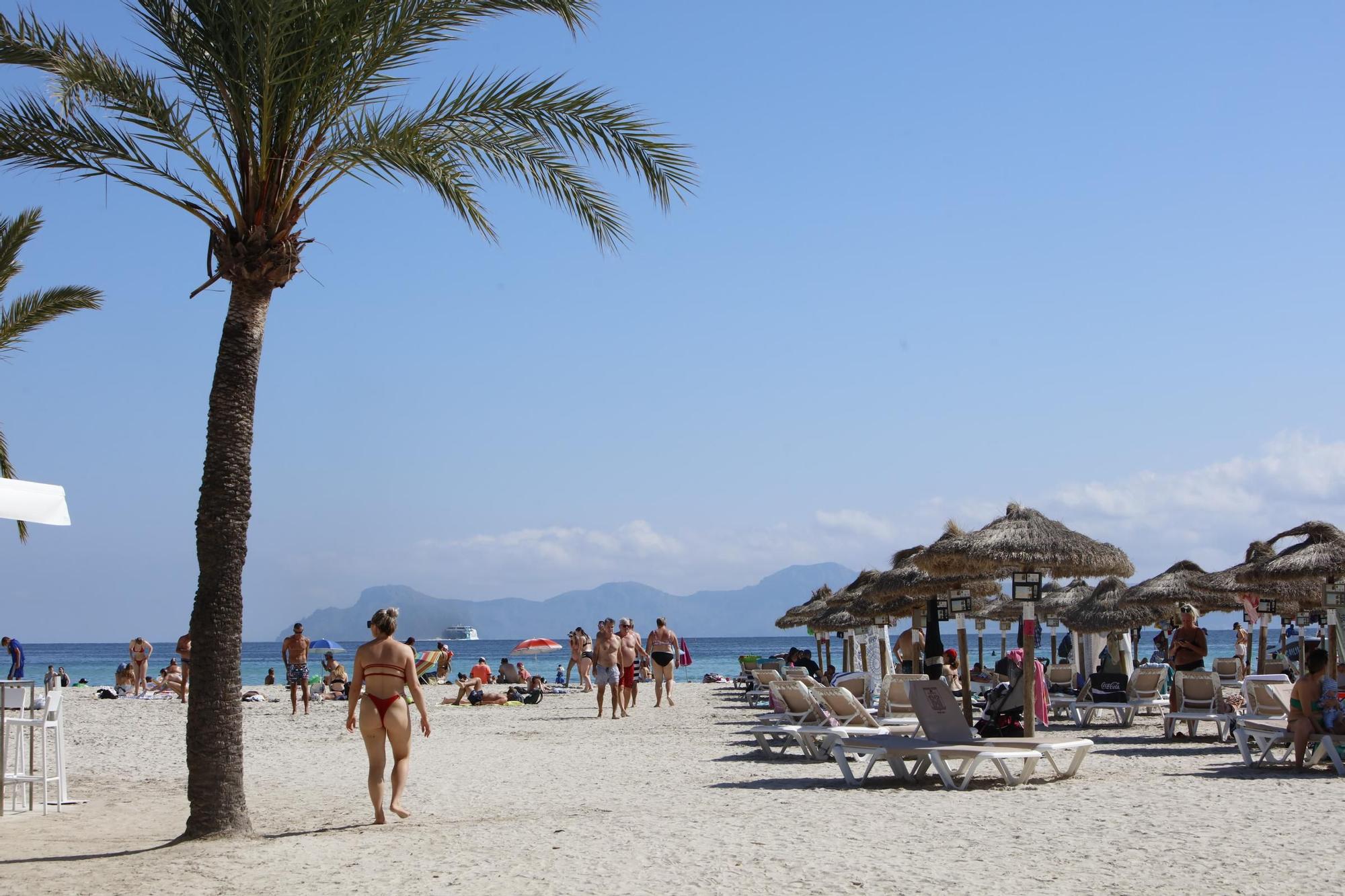 Sommer-Urlaub im Oktober: So sieht es derzeit am Strand von Alcúdia auf Mallorca aus