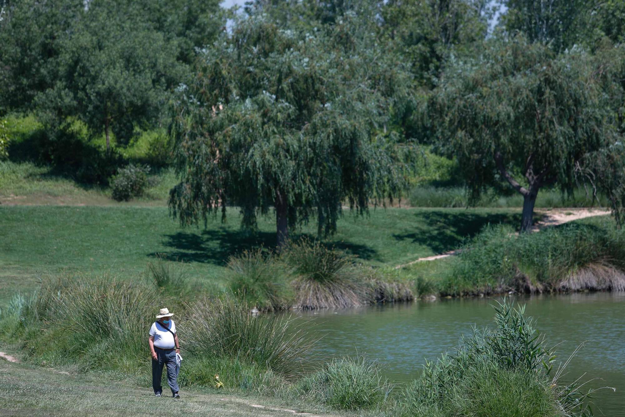 Parque de Cabecera, uno de los pulmones de València