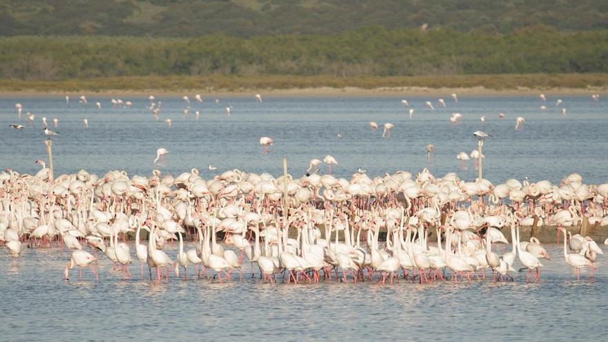 La Fundación Descubre propone recorrer de forma virtual la Laguna de la Fuente