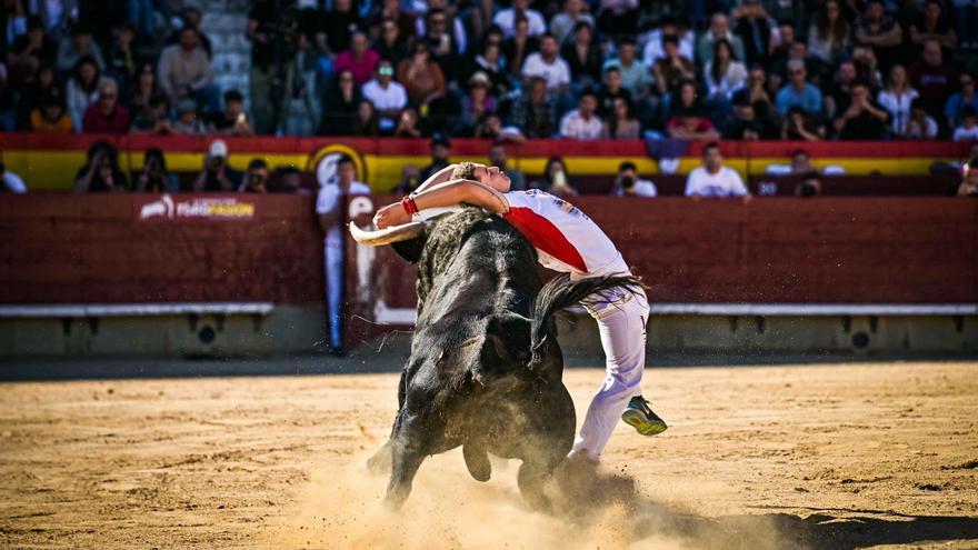 VÍDEO | Esperada final de recortadores en Castellón: Emoción, riesgo y arte en su máxima expresión