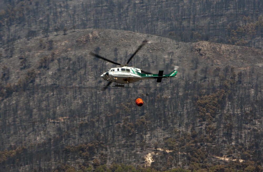 Así fue el incendio de Torremanzanas (agosto,2012)