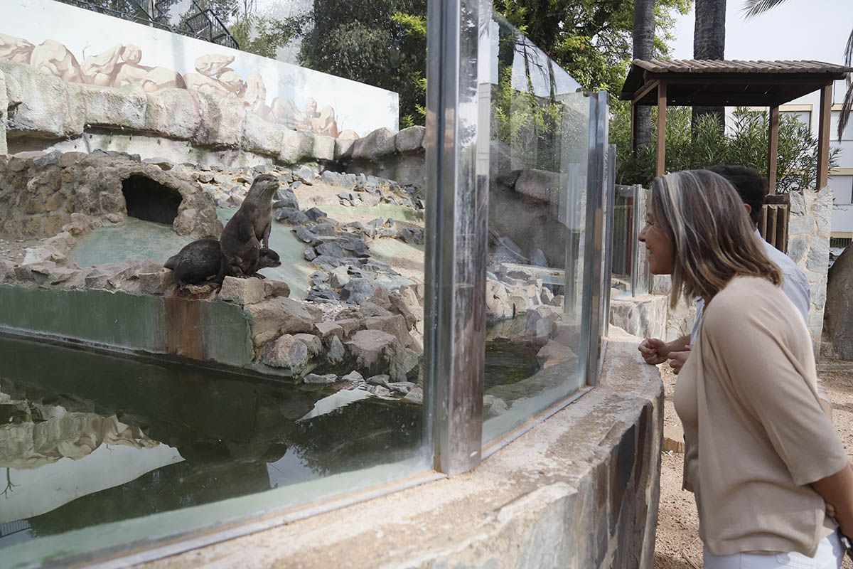 El Zoo de Córdoba reabre sus puertas tras la crisis de la gripe aviar