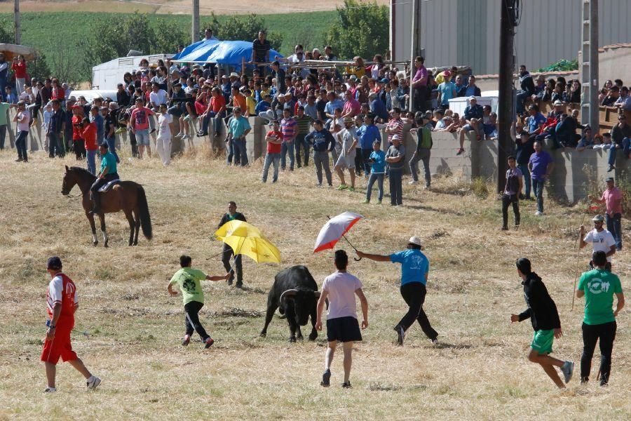 Encierro Guarrate