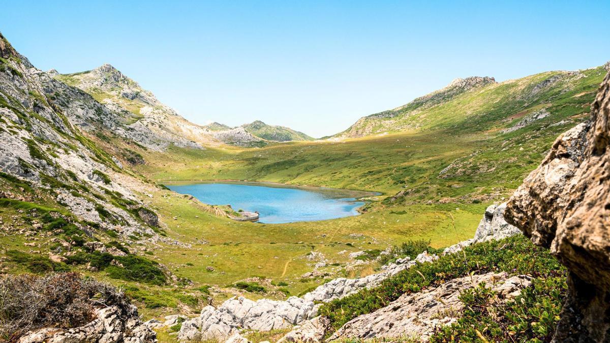 Además de bonito, este es el mejor lugar de toda Europa para contemplar osos en libertad y está en el norte de España.