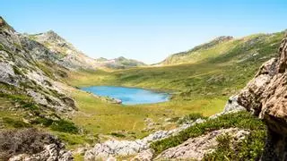 El mejor lugar de toda Europa para contemplar osos en libertad está en el norte de España