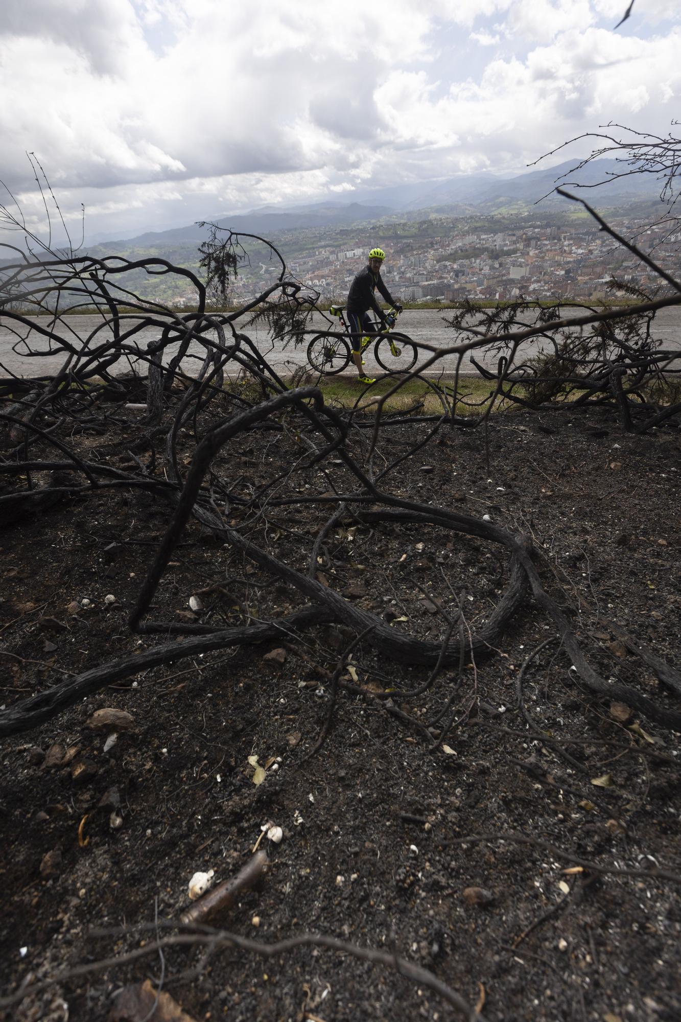 El aspecto del Naranco tras unos incendios históricos