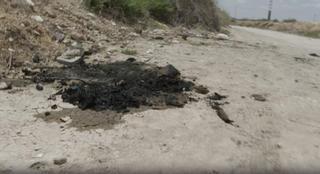 Buscan con perros más restos humanos tras hallar un torso calcinado en Alicante