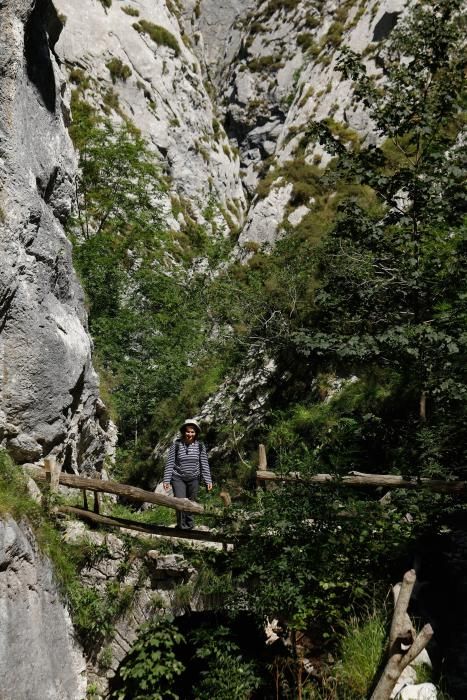 Rutas por Asturias: por las Foces de El Pino