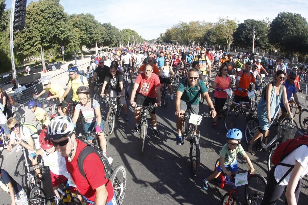 XX Día de la Bicicleta en Valencia