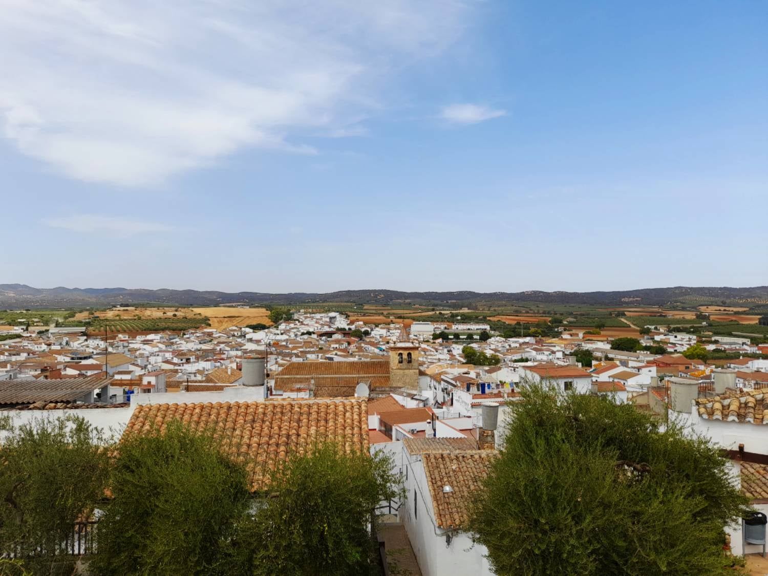 Puebla de los Infantes