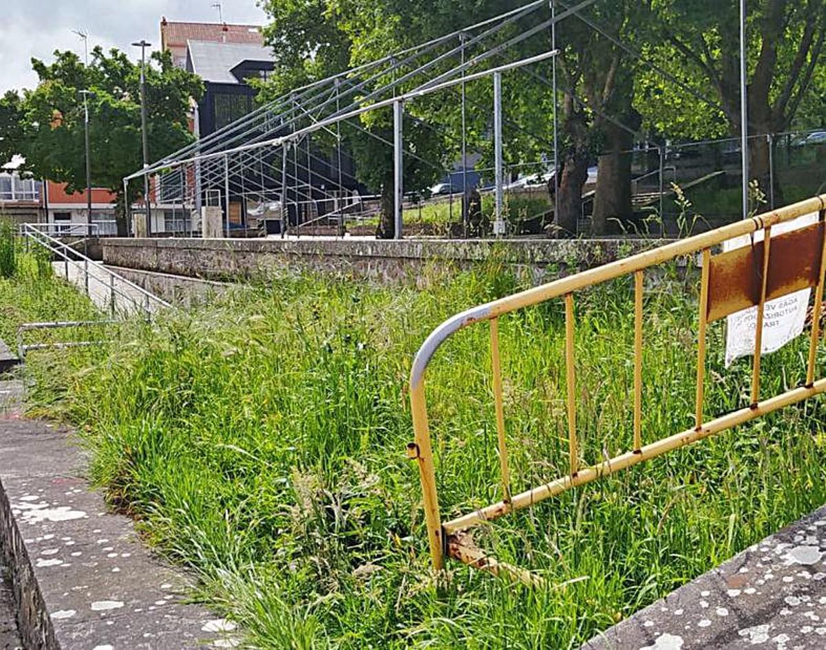 El patito feo de A Estrada despliega sus alas | 8