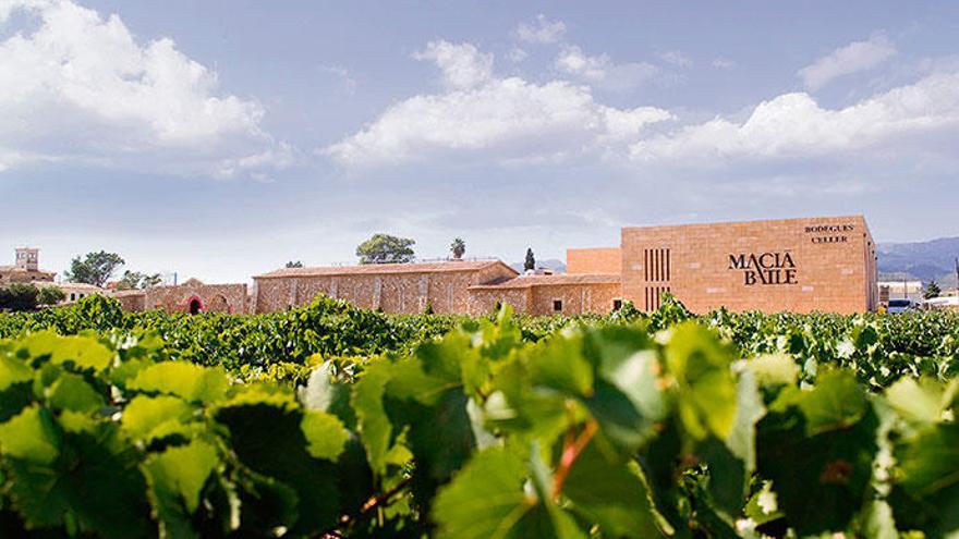 Macià Batle és sinònim de beure vi de qualitat i, alhora, de donar suport al sector primari de Mallorca.