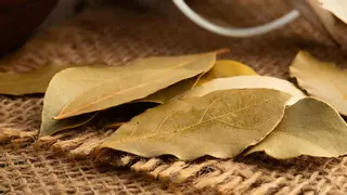 Adiós al amoniaco: el motivo por el la gesta hecha laurel en la taza del retrete