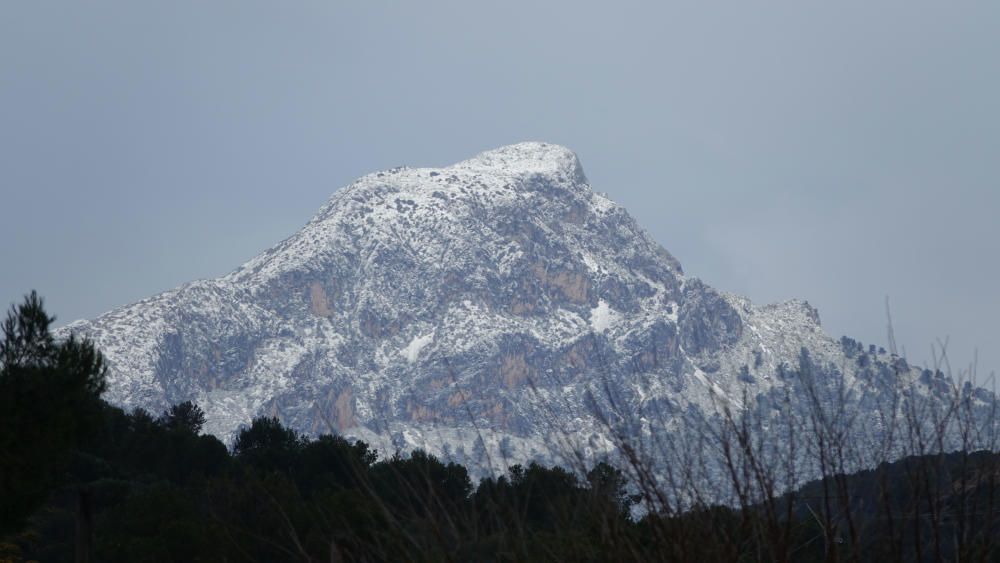 Am Samstag (10.2.) schneite es weiter in der Tramuntana.