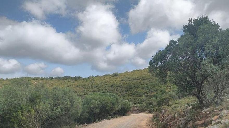 Els fons d'una sentència contra la pedrera d'Ulla es destinen a mesures contra els focs al Montgrí