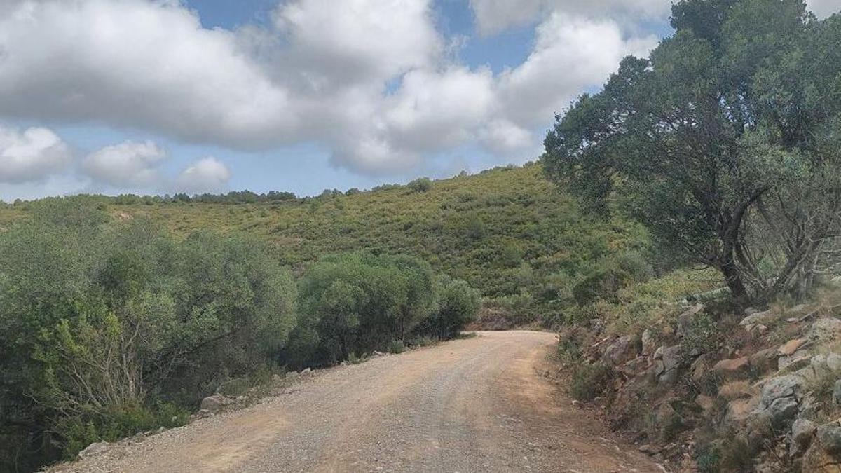 Millora del ferm del camí de Montgó a l'Estartit.