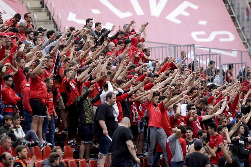 Así ha celebrado la afición el primer puesto del Mallorca