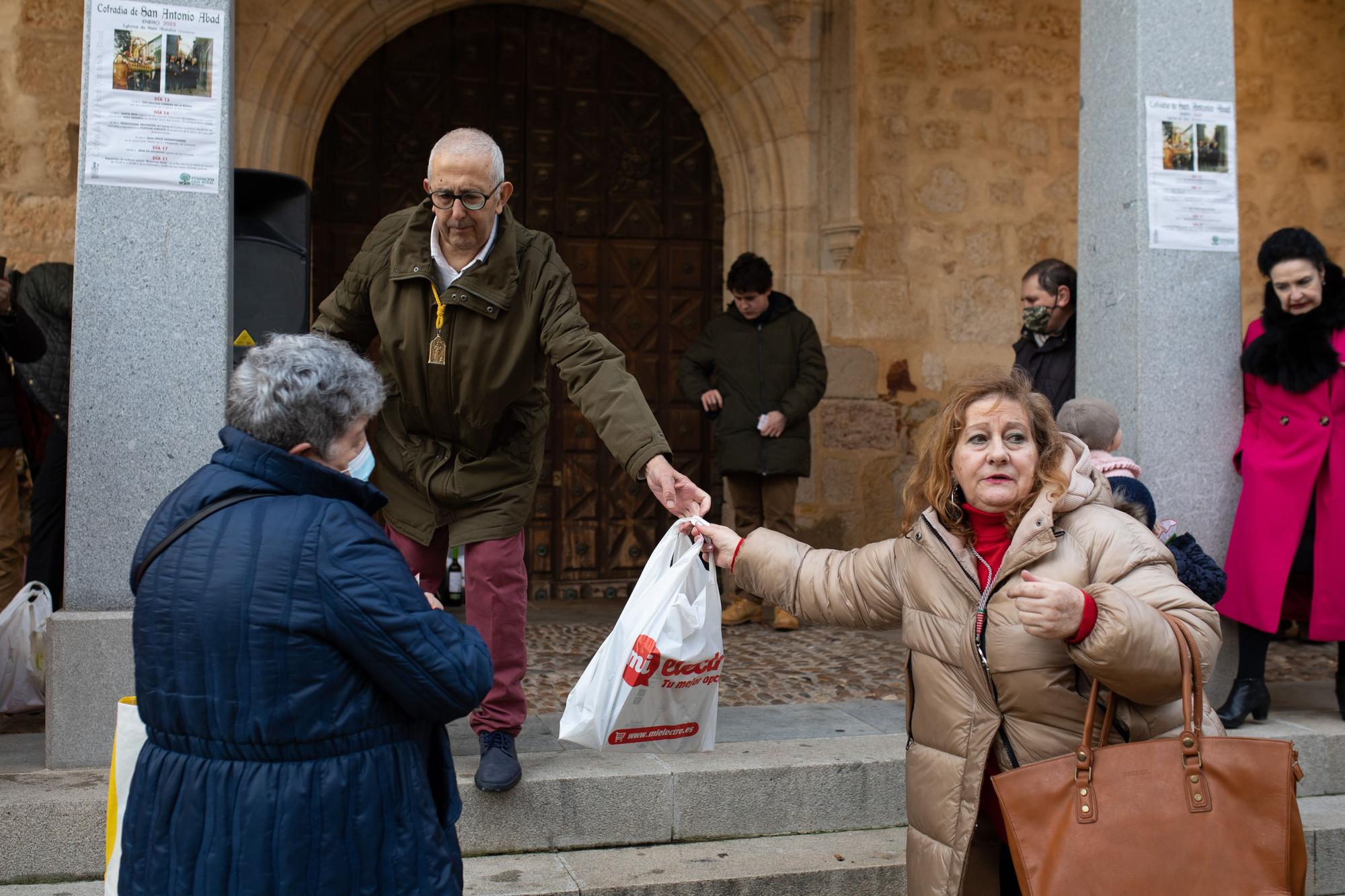 Los animales reciben la bendición por San Antón en Zamora