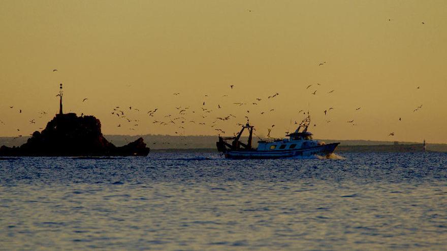 Un pesquero cruza junto a es Dau Gros de regreso a puerto.