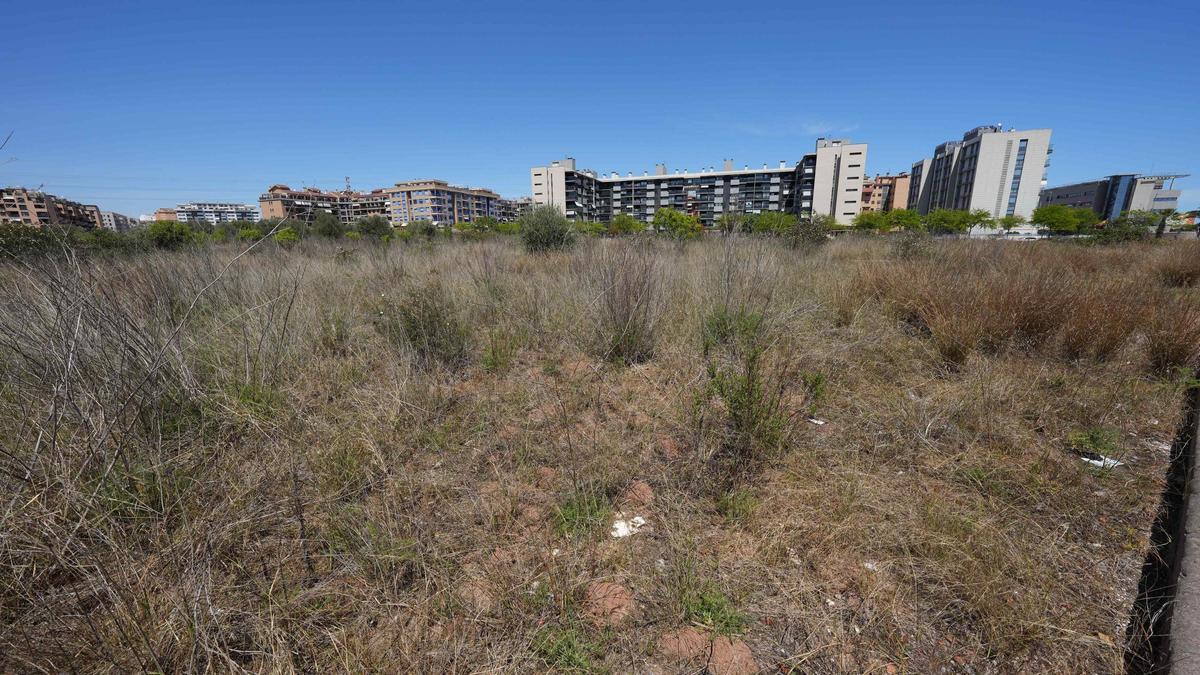 Imagen de un terreno en el PAU Sensal de Castelló.