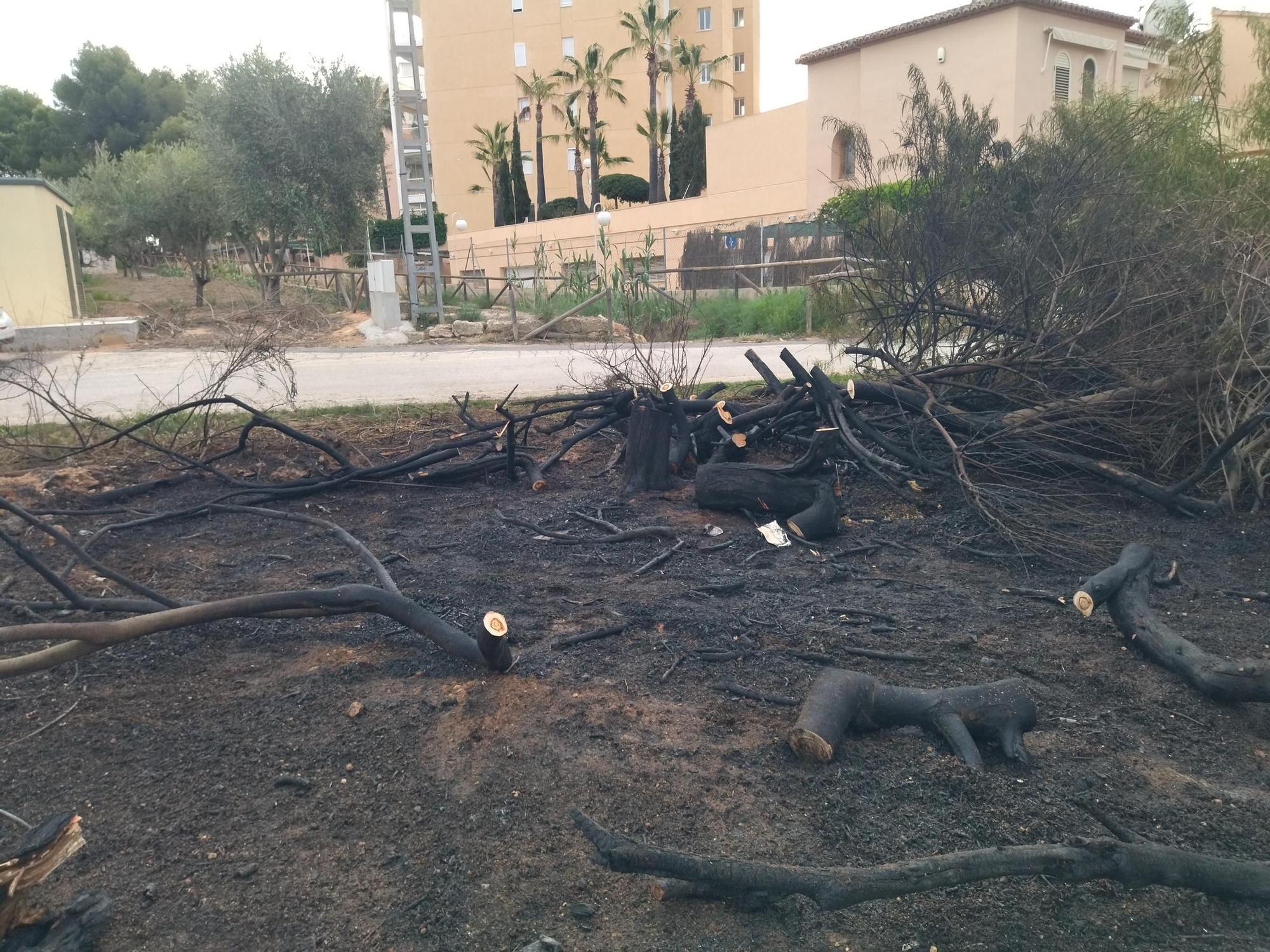 El incendio del Saladar de Xàbia se quedó a nada de las fincas de apartamentos (imágenes)