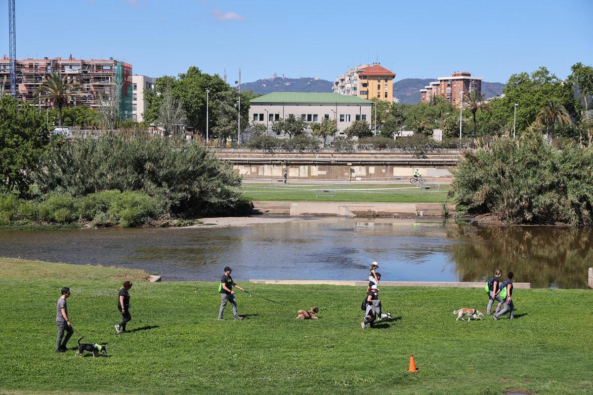 Las mejores imágenes de la Can We Run Barcelona