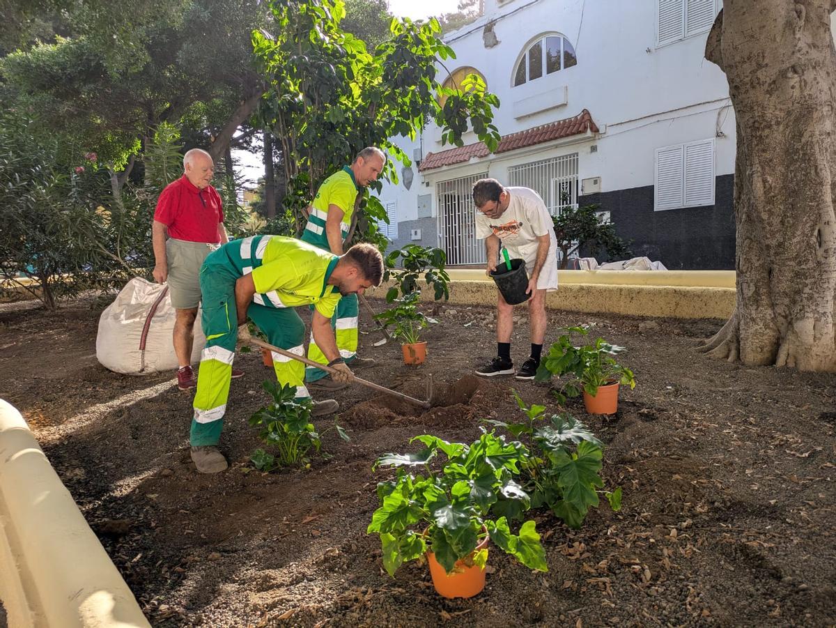 Plantación comunitaria en Scahamann.