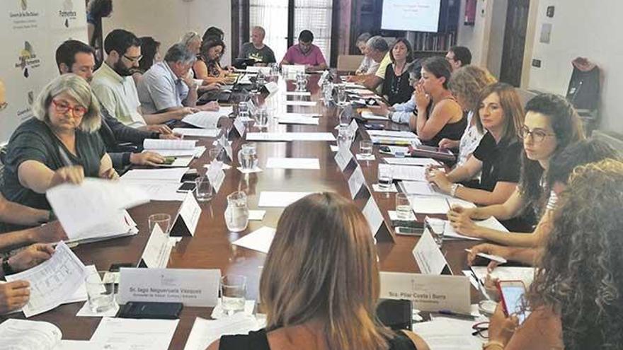 El pleno de la Comisión de Impulso de Turismo Sostenible reunida ayer.