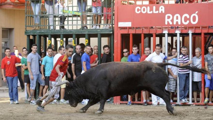 Almassora implica a 67 peñas en la semana taurina de mayo