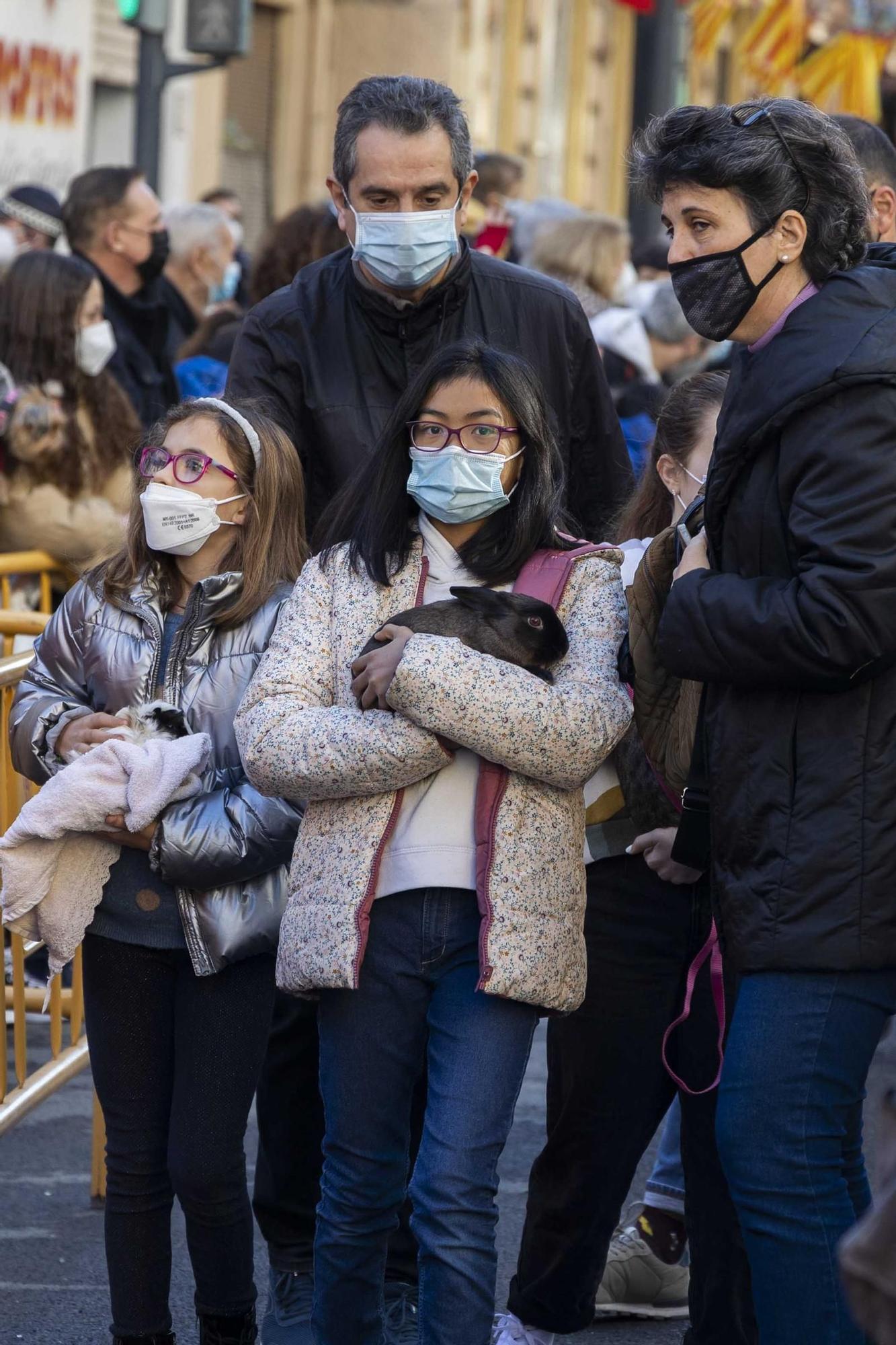 Búscate en la bendición de animales de Sant Antoni