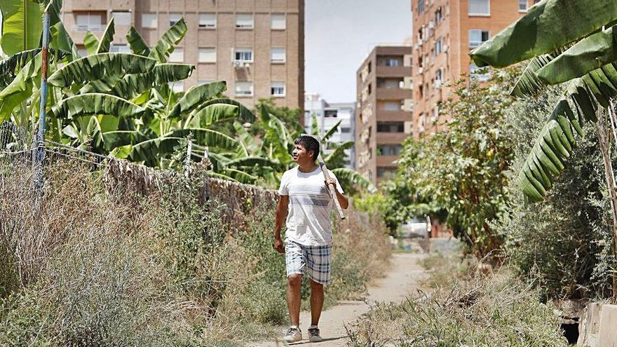 Gran parte del PAI de Benimaclet está ocupado en la actualidad por huertos urbanos.