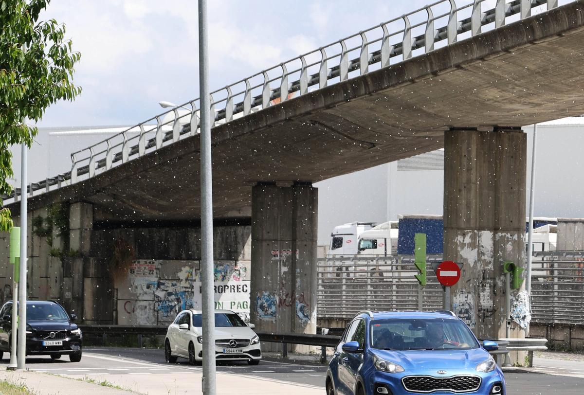 El polen invade el paseo del Lagares y otros puntos de Vigo.