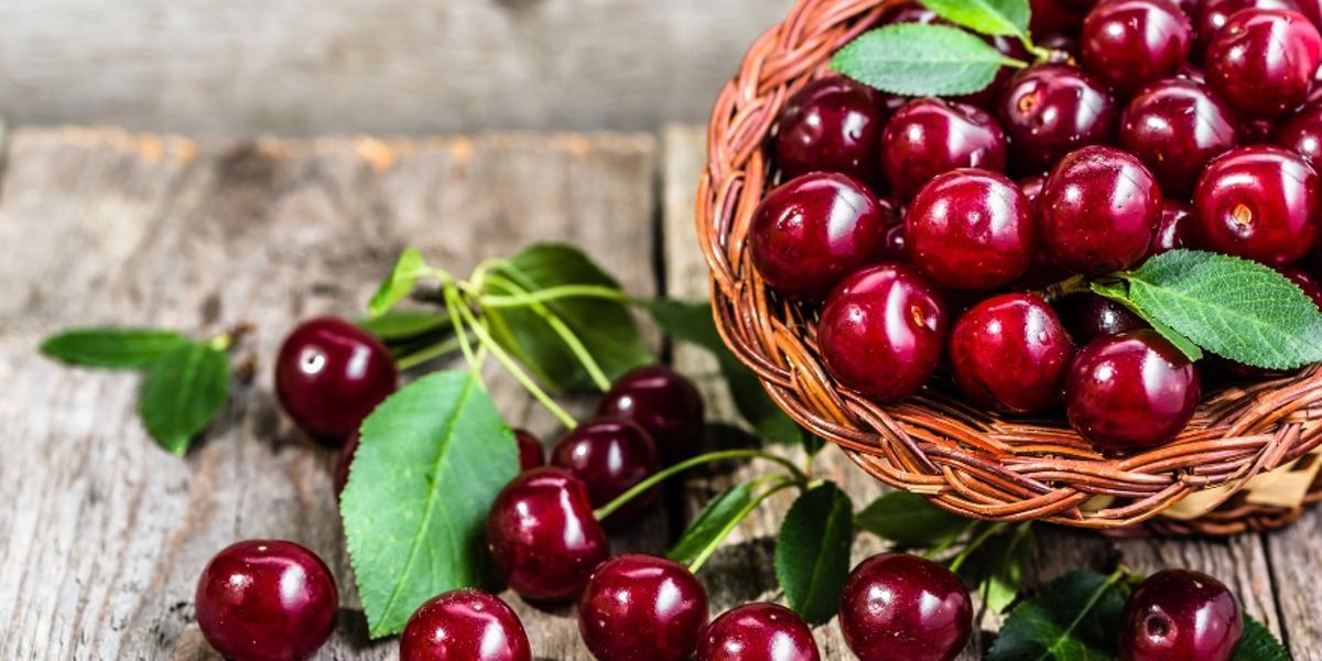 Galería | Así son las cerezas del Jerte