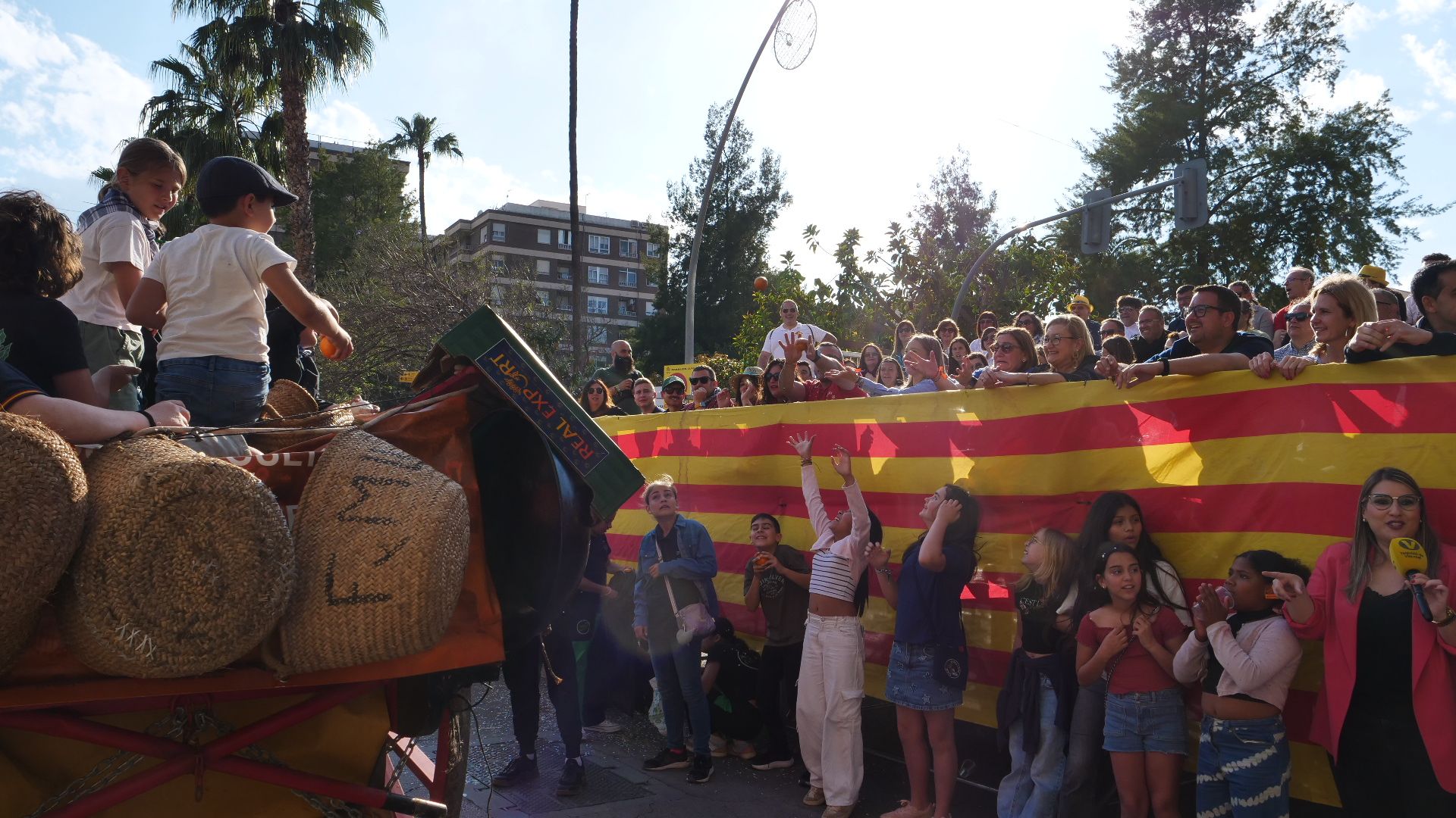 FOTOGALERÍA I Las imágenes de la cabalgata de las fiestas de Sant Pasqual de Vila-real