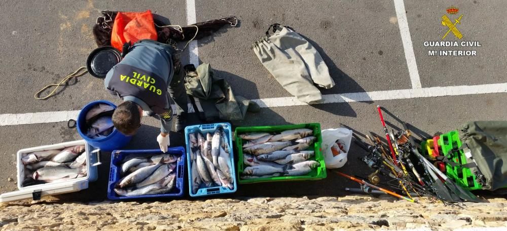 La Guardia Civil requisa más de 400 kilos de pescado ilegal en la costa de Altea
