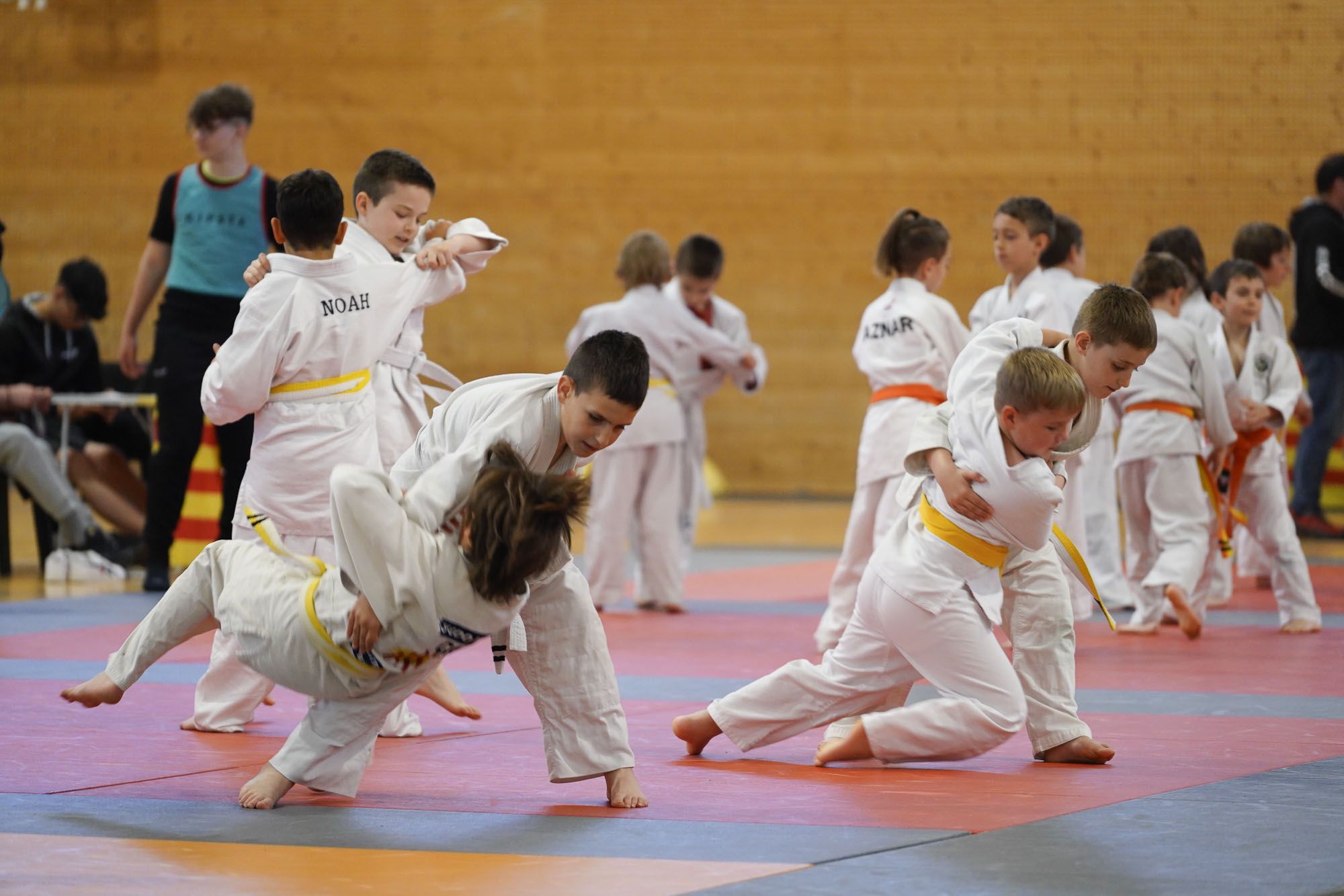 Les imatges del torneig infantil de judo de l'Escola 7